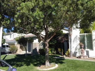 Cleanups by Luis Medina for Bailey N. in Menifee, CA