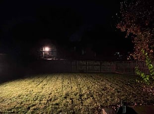Ed G.'s Lawn Care service result