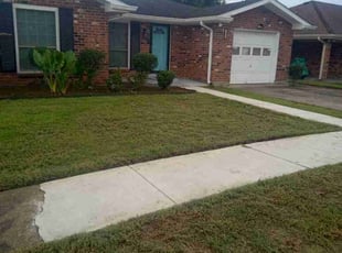Bush Trimming by Terry Felo for Deltrice P. in Harvey, LA