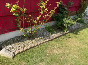 Weeding by Sachariel Polanco for Mary H. in Ewing Township, NJ