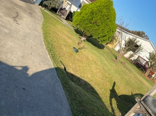 Bush Trimming by Paz Silva for Desiree S. in Houston, TX