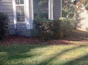 Bush Trimming by Ray Adams for Kathleen I. in Acworth, GA