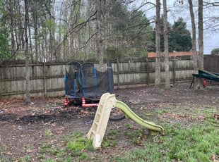 Leaf Removal by Arthur Haskins for Andrew V. in Richmond, VA