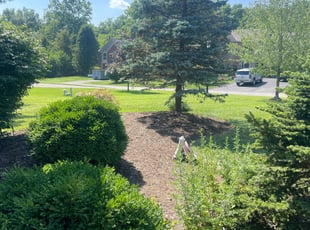 Weeding by Gary Andersen for Rachel S. in Milford, OH