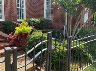 Bush Trimming by Jessica Clark for Wess H. in Memphis, TN