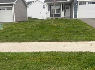 Steve H.'s Lawn Mowing service result