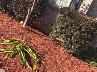 Mulching by Wilton Woolcock for Michael W. in Lawrenceville, GA