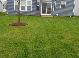 Edda R.'s Yard Cutting service result
