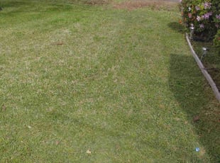 Weeding by Ebony Carroll for Stephanie W. in Birmingham, AL