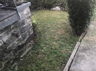 Bush Trimming by Maurice Downing for Ashley S. in Philadelphia, PA
