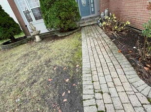 Cleanups by Francisco Silva for Adam M. in Aurora, IL