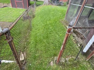 Tanya B.'s Lawn Maintenance service result