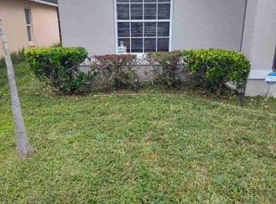 Bush Trimming by Robert Dixon for Indrauti P. in Kissimmee, FL