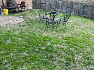 Cleanups by Miguel Ibarra for Sam H. in Fort Worth, TX