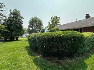 Tony L.'s Bush Trimming service result