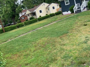 Bush Trimming by Taylor Dodson for Alisa E. in Portsmouth, VA