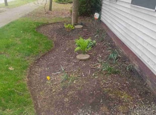 Cleanups by Jeremy Zanders for Cory H. in Cleveland, OH
