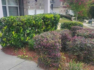 Bush Trimming by Michael Peters for Kristi W. in Canton, GA