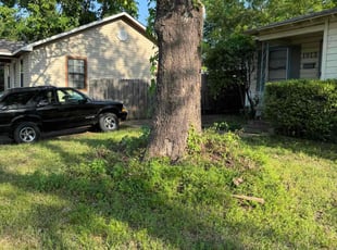 Cleanups by Timothy Lewis for Rickey R. in Tyler, TX