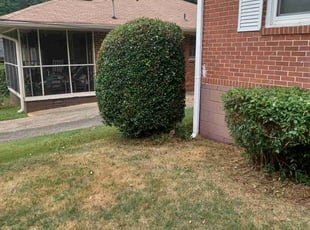 Bush Trimming by Tavoris Smith for Mark D. in Decatur, GA