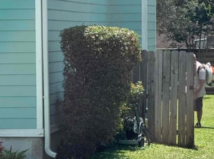 Michelle G.'s Bush Trimming service result