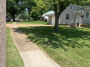 Shannon R.'s Grass Cutting service result