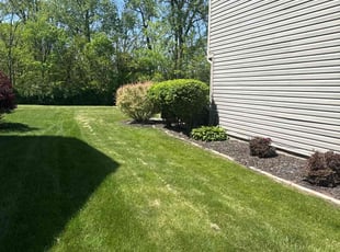 Bush Trimming by William Souders for Jordan S. in Fishers, IN