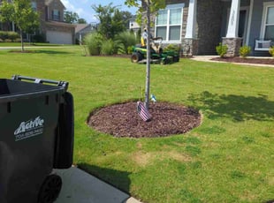 Nanette S.'s Lawn Maintenance service result