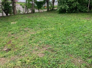 Cleanups by Orlando Jackson for Misty C. in Dayton, KY