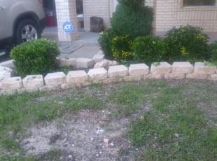 Bush Trimming by Robert Vela for Mo O. in Fort Worth, TX