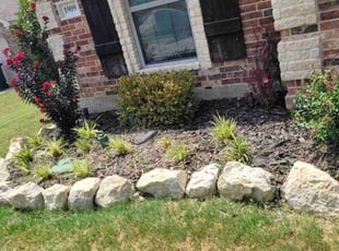 Weeding by Lakeida Jackson for Stacie S. in Midlothian, TX