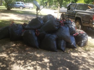 Leaf Removal by Queanesia Nelloms for Jeremy W. in Tallahassee, FL