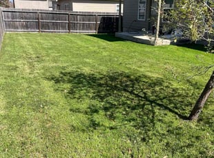 Brandon T.'s Lawn Service service result