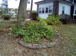 Cleanups by Charles Pease for Chris W. in Philadelphia, PA