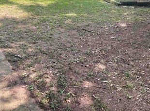 Cleanups by Jermaine Huguley for Latoya S. in Atlanta, GA