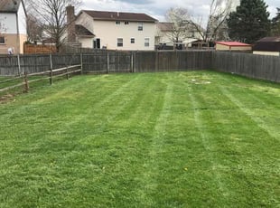 Sarah J.'s Lawn Maintenance service result