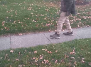 Leaf Removal by Elisha Nelson for Aaron M. in Columbus, OH
