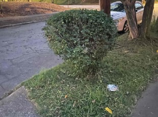 Bush Trimming by David Smith for Myra W. in Atlanta, GA