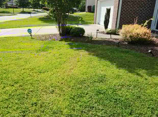 Robert&Sue d.'s Lawn Service service result