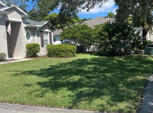 Joyce B.'s Lawn Mowing Service service result