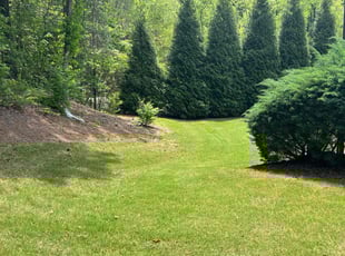 Curtis P.'s Lawn Maintenance service result