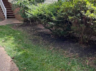 Cleanups by Erica Clark for Allyson C. in Midlothian, VA