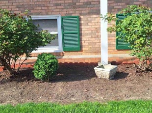 Weeding by Rómulo González for Adrian R. in Capitol Heights, MD