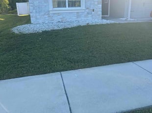 Adolf V.'s Lawn Mowing service result