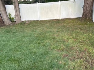 Leaf Removal by Matthew Achey for Nancy G. in East Greenwich, RI