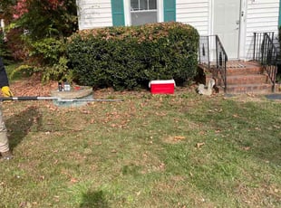 Bush Trimming by Arthur Haskins for Tekeisha S. in Richmond, VA