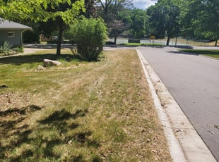 Bush Trimming by Eric Hahn for Mathias W. in Brooklyn Park, MN