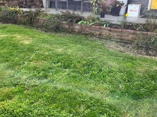 Weeding by Matthew Mullican for Erin S. in Portland, OR