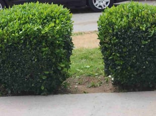 Cleanups by Timothy Vargas for Jeanette B. in Moreno Valley, CA