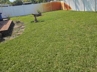 Lisa B.'s Lawn Service service result
